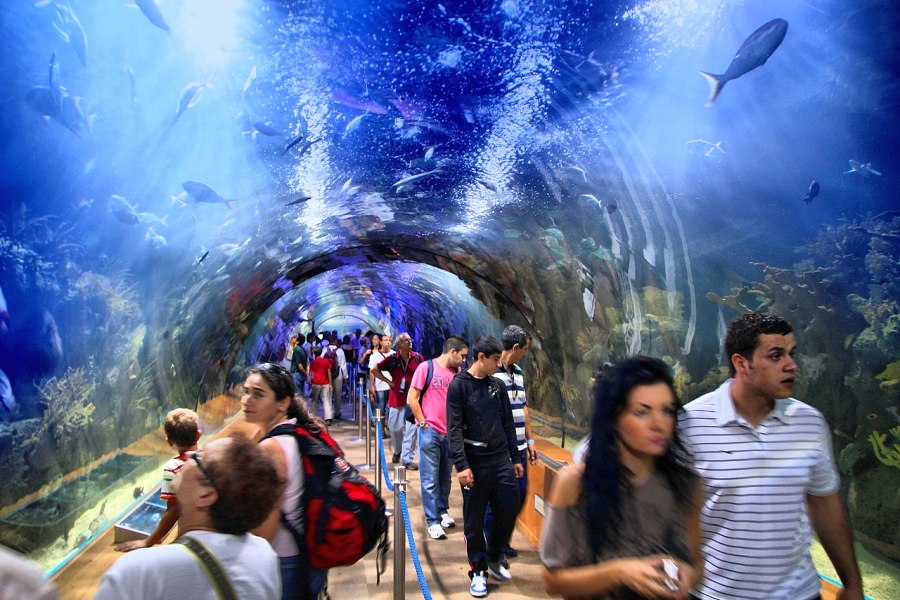 oceanarium walencja tunel