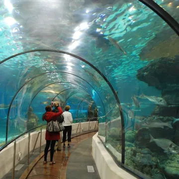 oceanarium barcelona