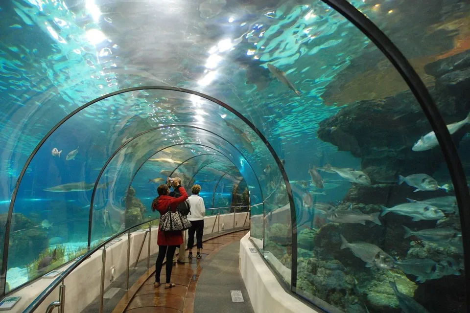 oceanarium barcelona